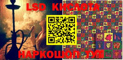 PSILOCYBIN Можга
