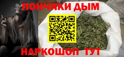 PSILOCYBIN Можга
