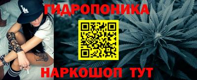 PSILOCYBIN Можга