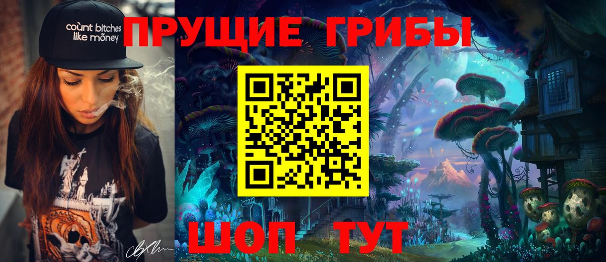 Холмск  Псилоцибиновые грибы мухоморы  Псилоцибиновые грибы Psilocybe  Вход с VPN 